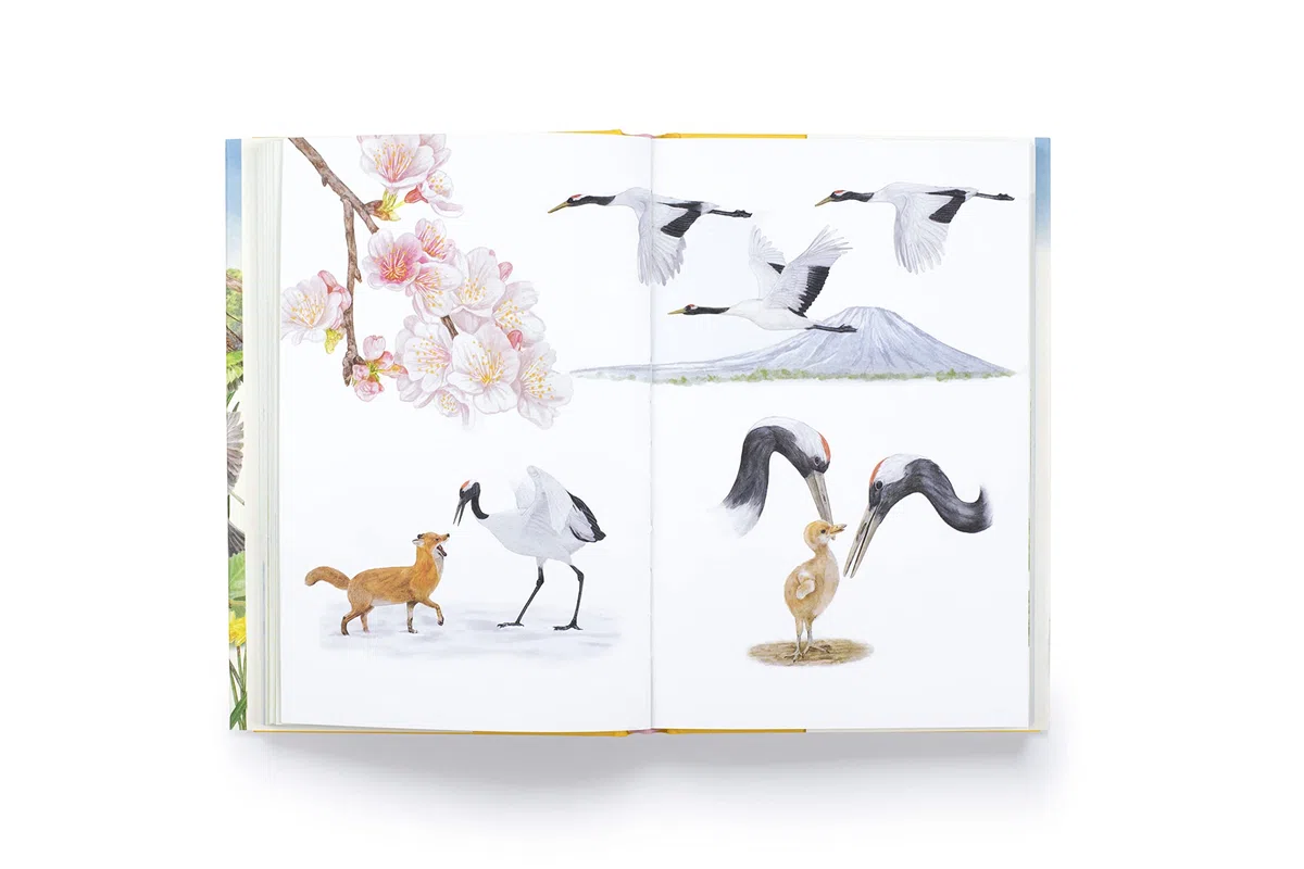Around the World in 80 Birds (Hardback) /anglais