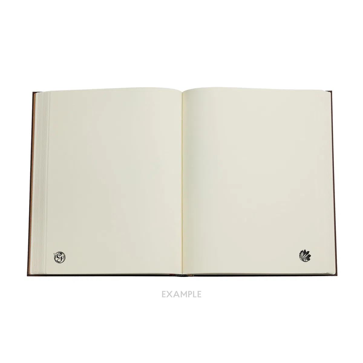 The Magic of Wicked (Wicked Collection) Ultra Unlined Hardcover Journal (Elastic Band Closure)