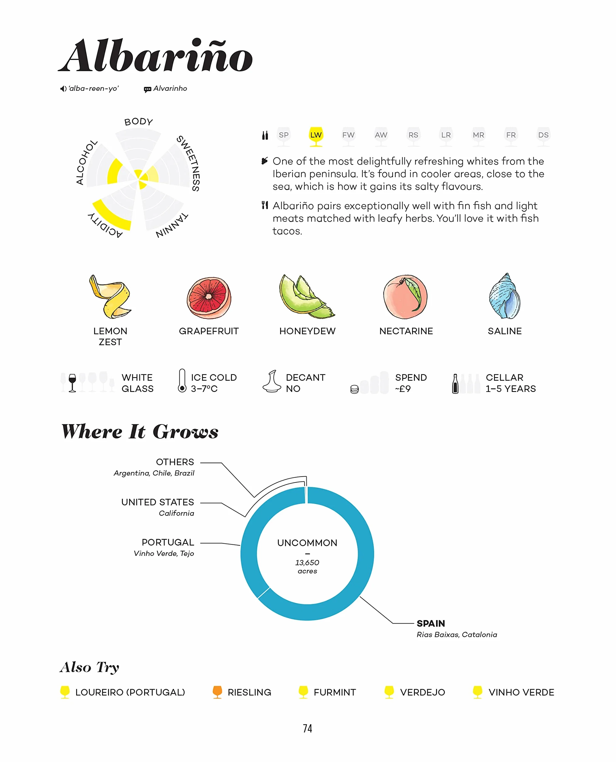 Wine Folly Deluxe: The Master Guide