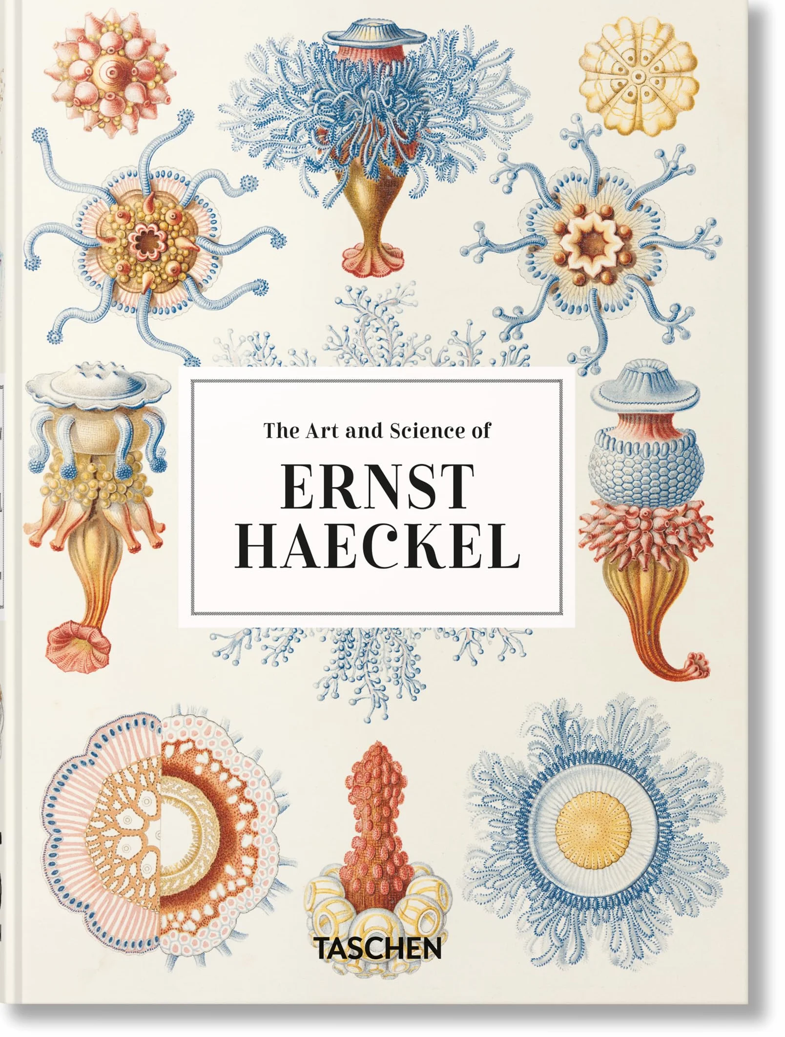Ernst Haeckel – 40Th Anniversary Edition: 45th Ed. (45th Edition)
