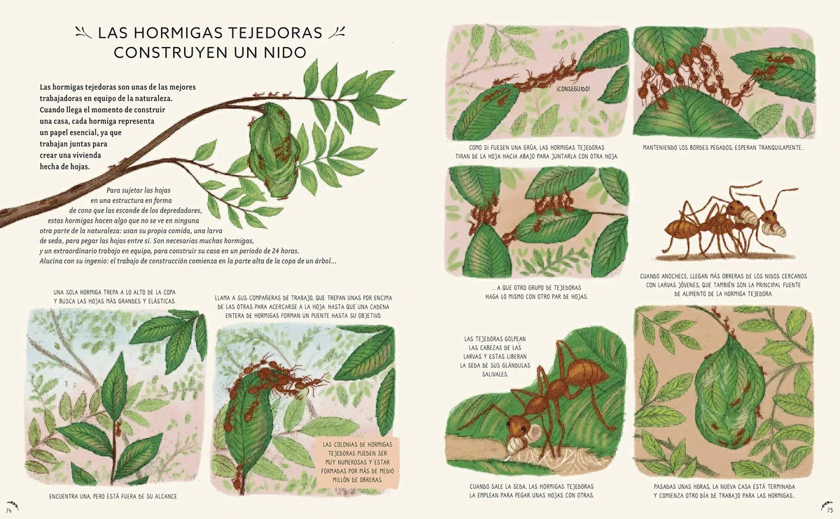 con calma. 50 Historias De La Naturaleza (SIN COLECCION)