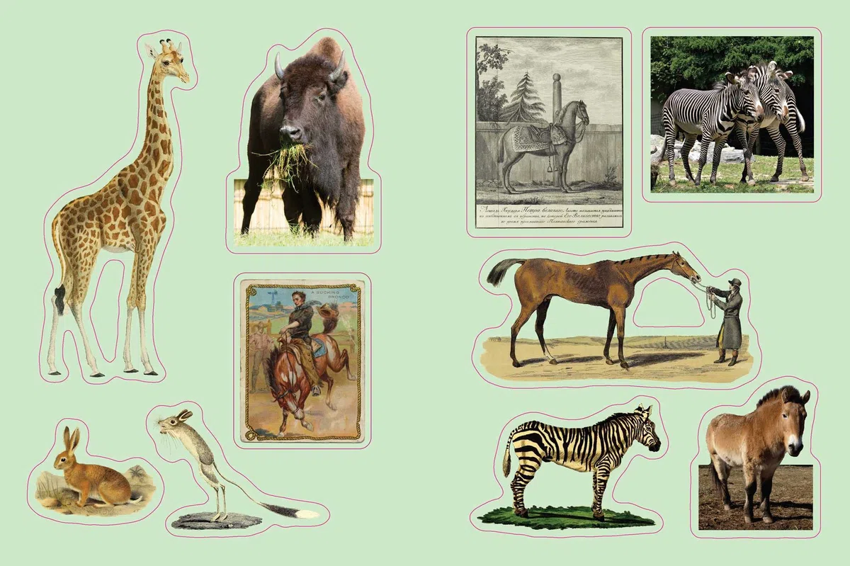 Cabinet of Curiosities: Over 1,000 Curated Stickers from the Fascinating Collections of the Smithsonian (Smithsonian Sticker Books)
