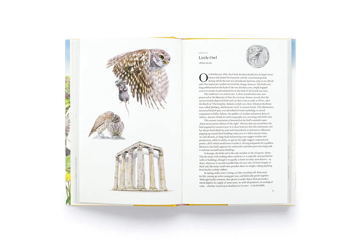 Around the World in 80 Birds (Hardback) /anglais