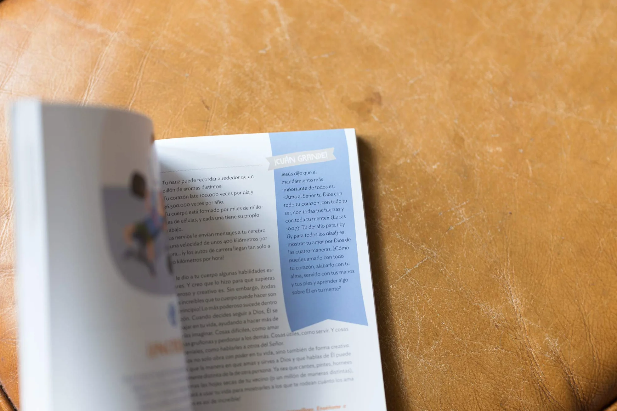 ¡Cuán grande es nuestro Dios!: 100 Devocionales indescriptibles acerca de Dios y la ciencia (Indescribable Kids)