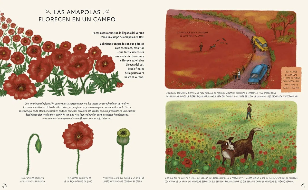 con calma. 50 Historias De La Naturaleza (SIN COLECCION)