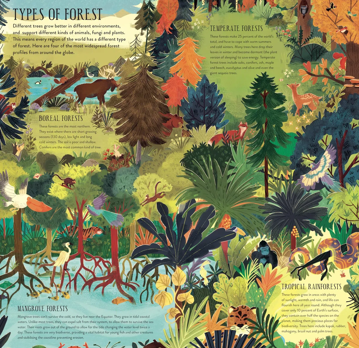 Make and Play: Build A Tree: Build a 30cm Oak Tree! Includes a 32-page Book and 40+ Model Pieces