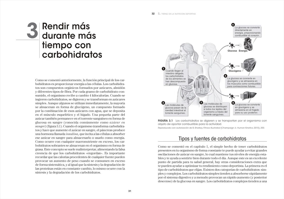 El Timing en la nutrición deportiva: Estrategias nutricionales para alcanzar el máximo rendimiento (DEPORTES)