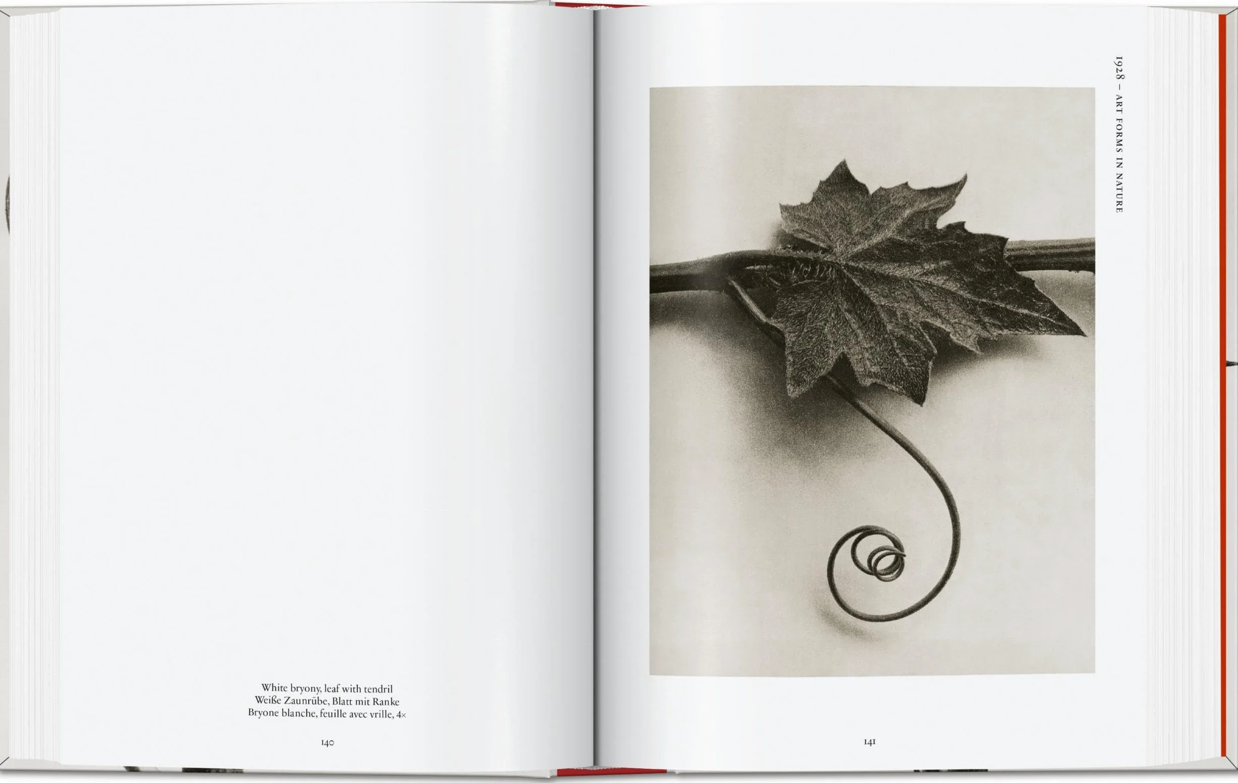 Karl Blossfeldt. The Complete Published Work. 45th Ed. (45th Edition)