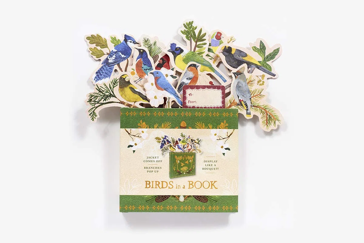 Birds In A Book. A Bouquet In A Book: Jacket Comes Off. Branches Pop Up. Display Like a Bouquet!