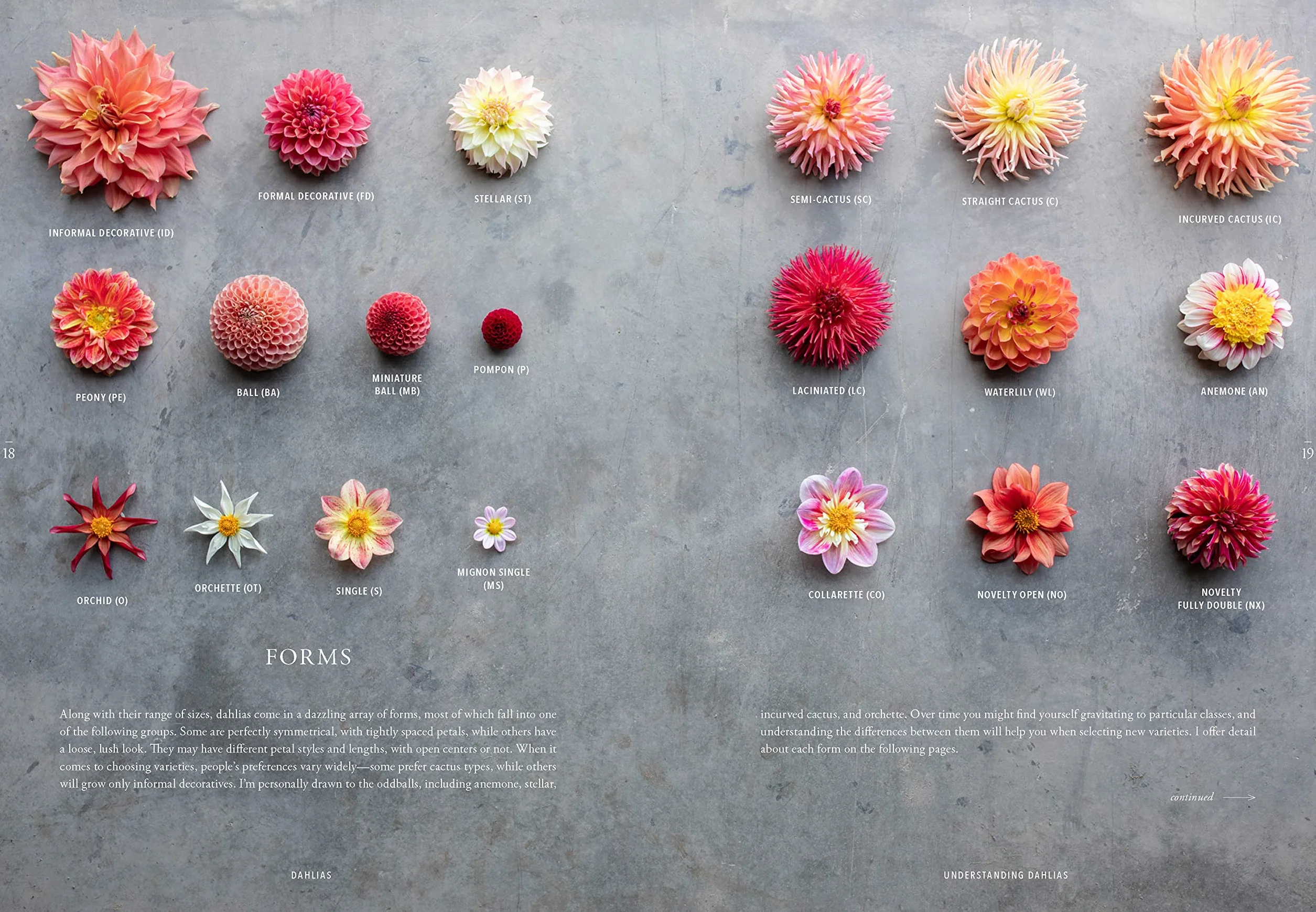 Floret farm's discovering dahlias: a guide to growing and arranging magnifcent blooms