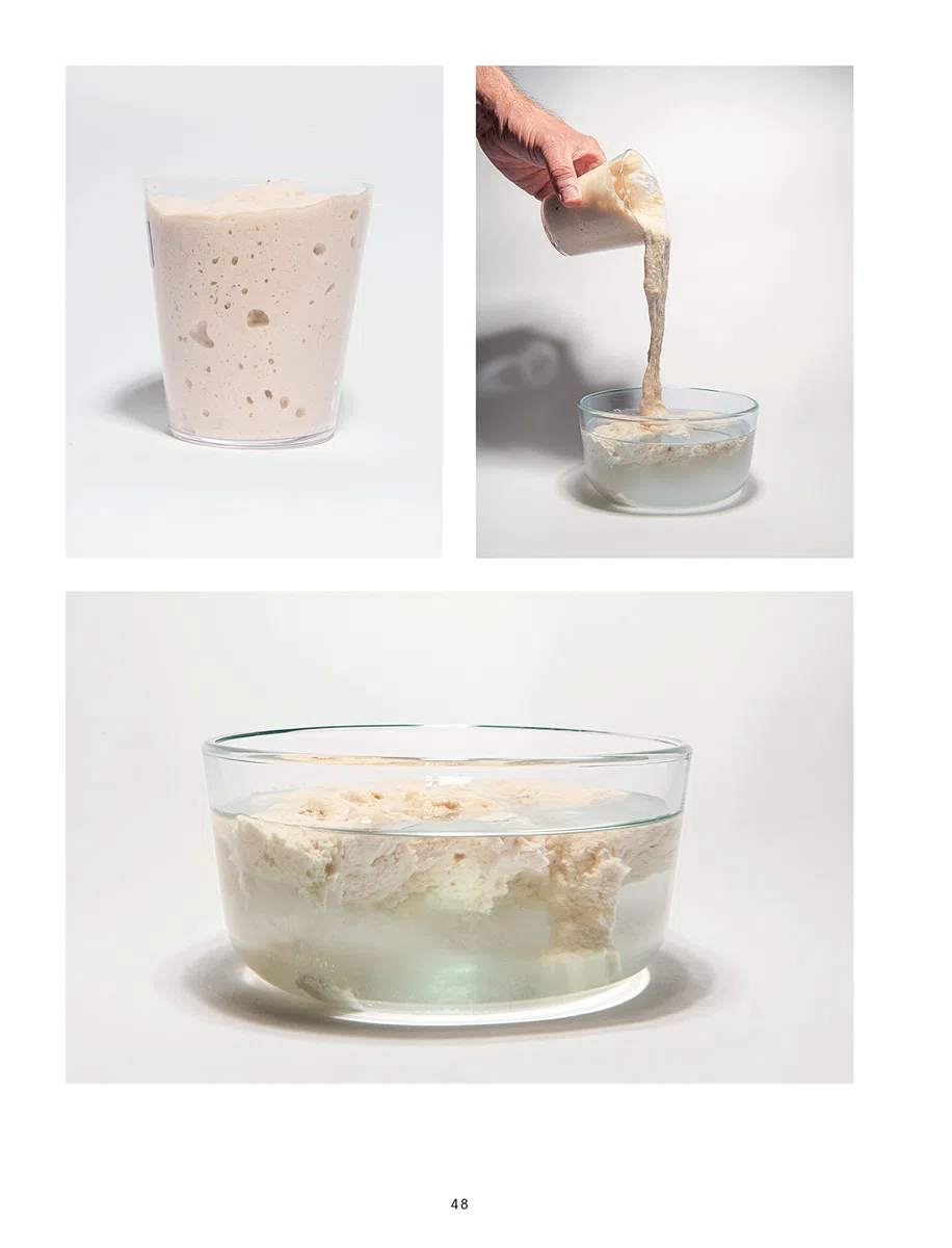 El libro del pan: Reflexiones e innovaciones sobre el futuro de los cereales, la harina y la fermentación (Los ilustrados)