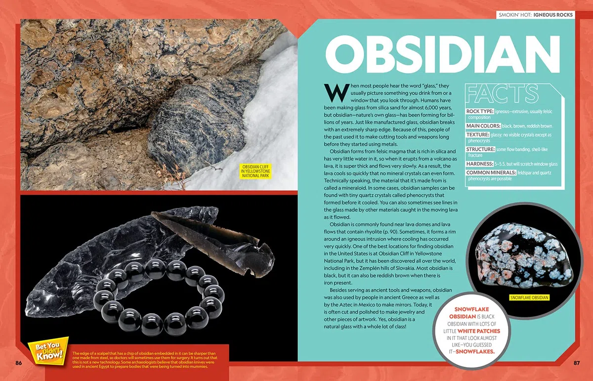 Ultimate Rockopedia: The Most Complete Rocks & Minerals Reference Ever (Ngk Ultimate Pedias)