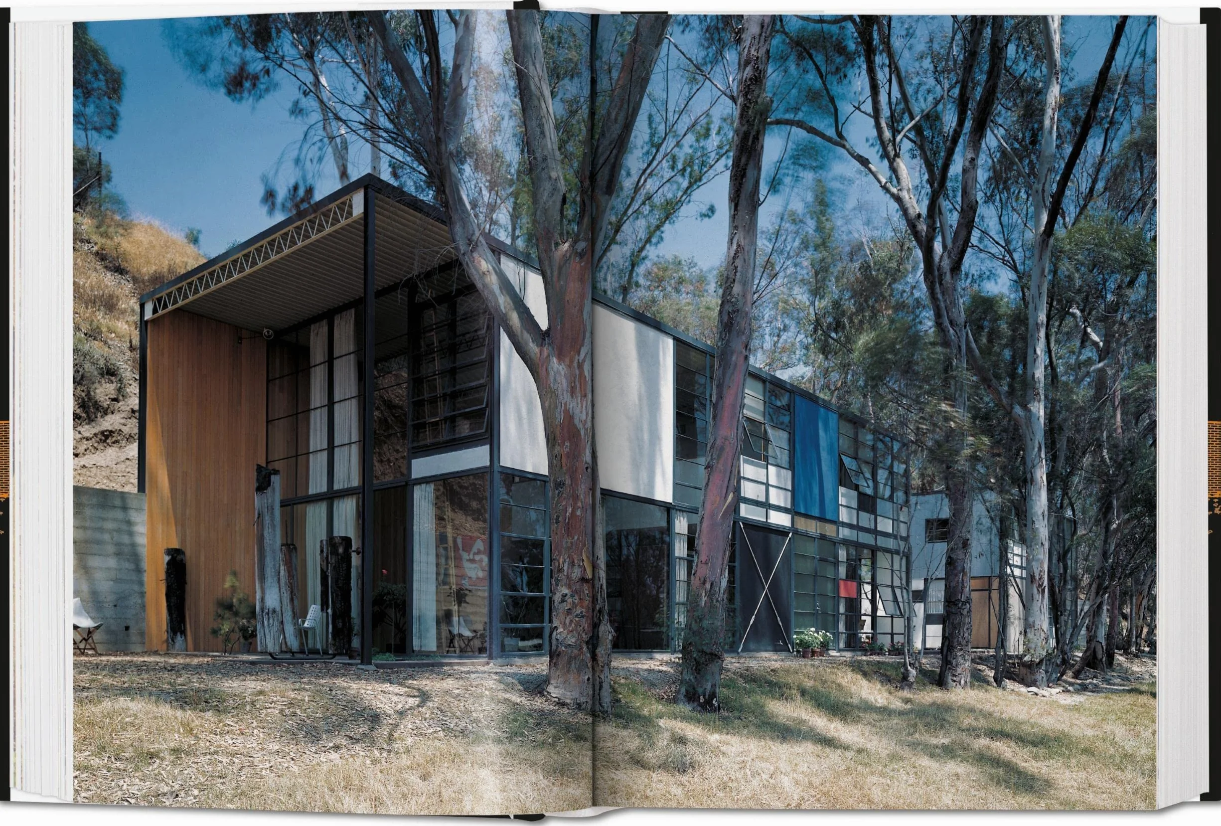 Case Study Houses. The Complete Csh Program 1945-1966. 40Th Ed (45th Edition)