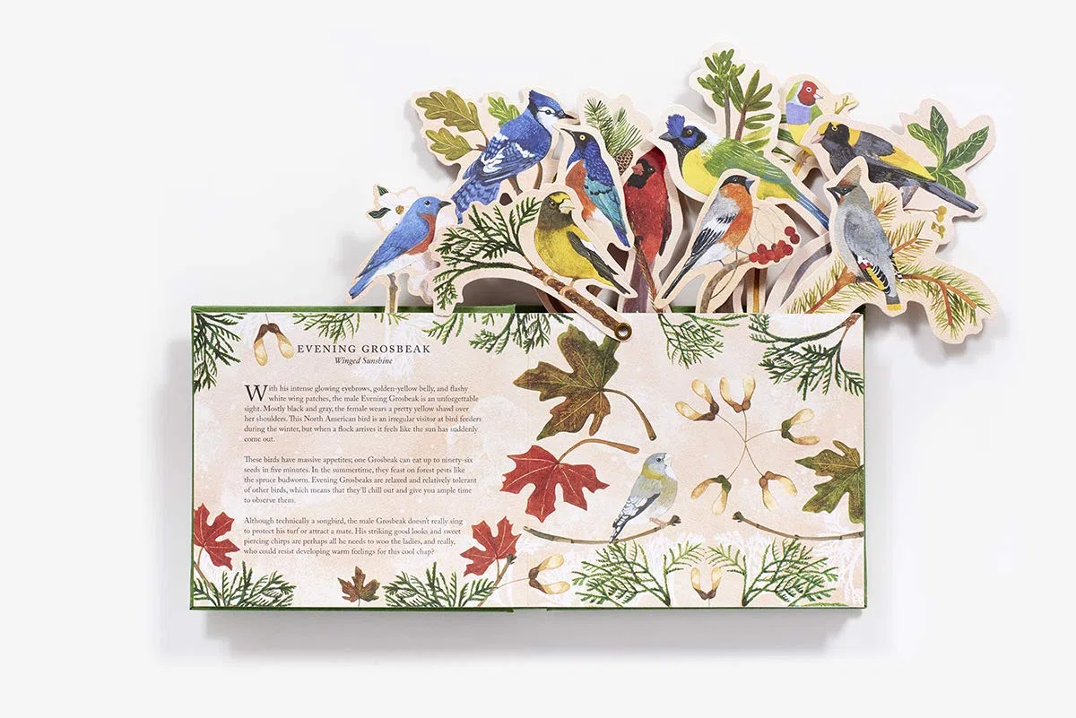 Birds In A Book. A Bouquet In A Book: Jacket Comes Off. Branches Pop Up. Display Like a Bouquet!