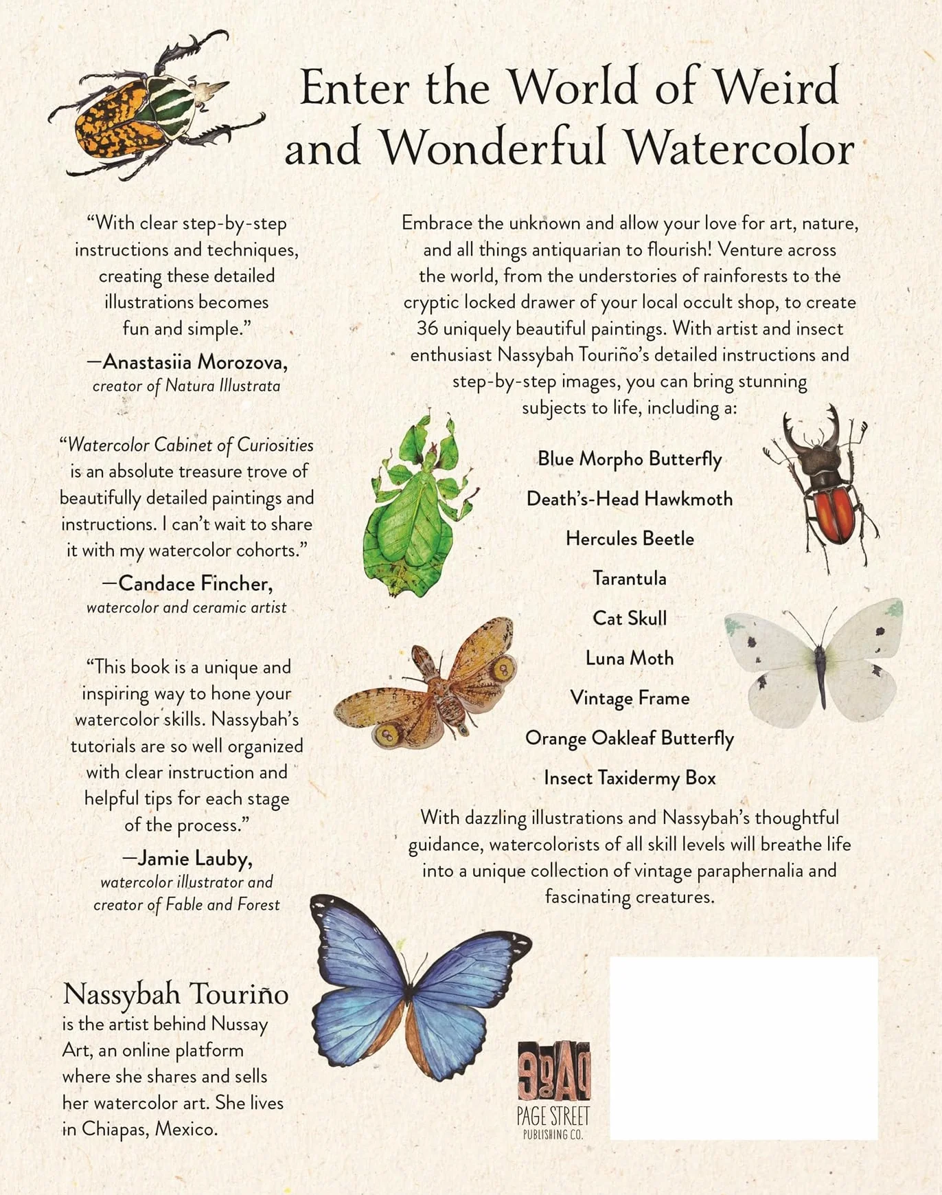Watercolor Cabinet of Curiosities: Paint Perfectly Peculiar Insects, Antiques & Other Oddities