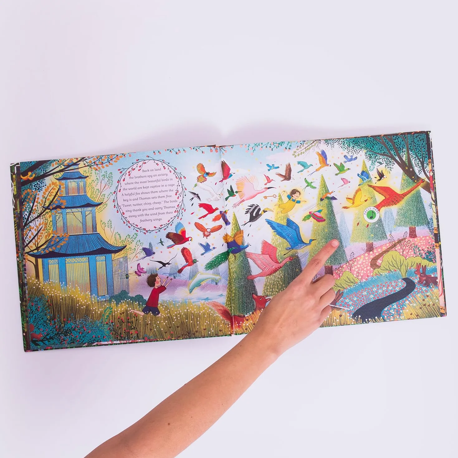 The Story Orchestra: Carnival of the Animals: Press the note to hear Saint-Saëns' music (5)