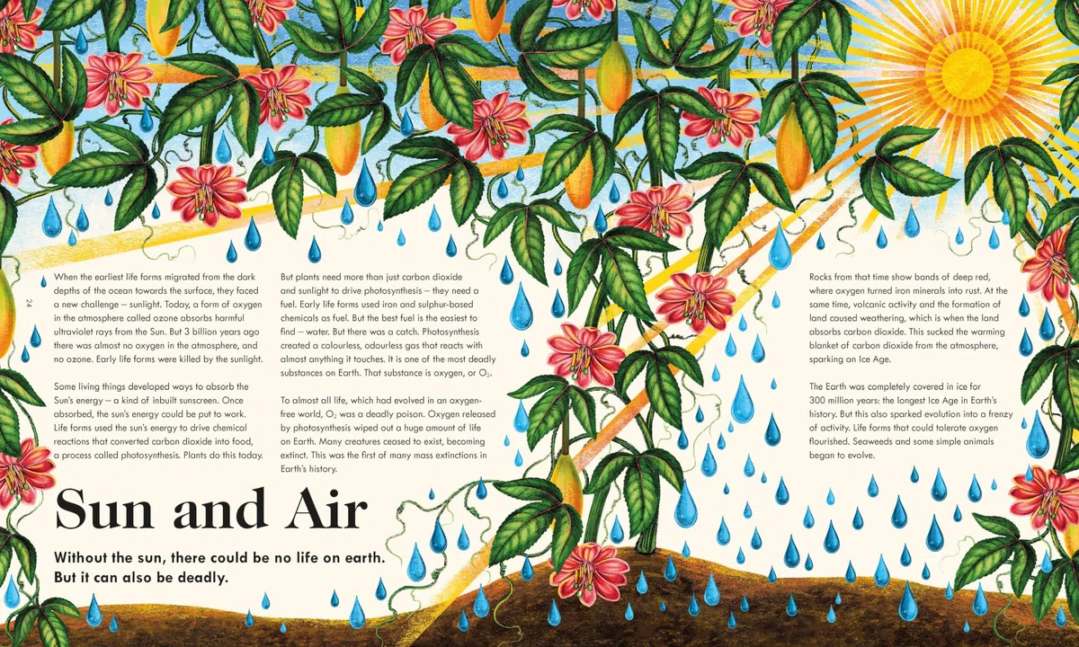 The Wonder of Life on Earth: A beautifully illustrated story of our planet, evolution and you, by the winner of the Royal Society Science Book Prize