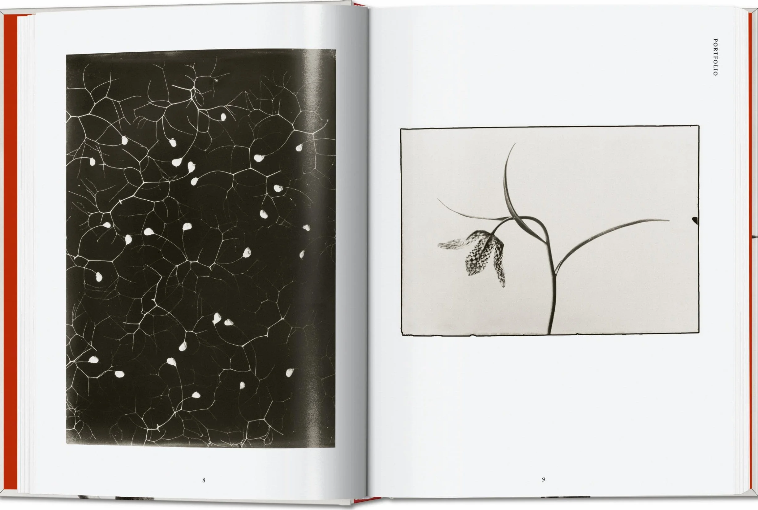 Karl Blossfeldt. The Complete Published Work. 45th Ed. (45th Edition)
