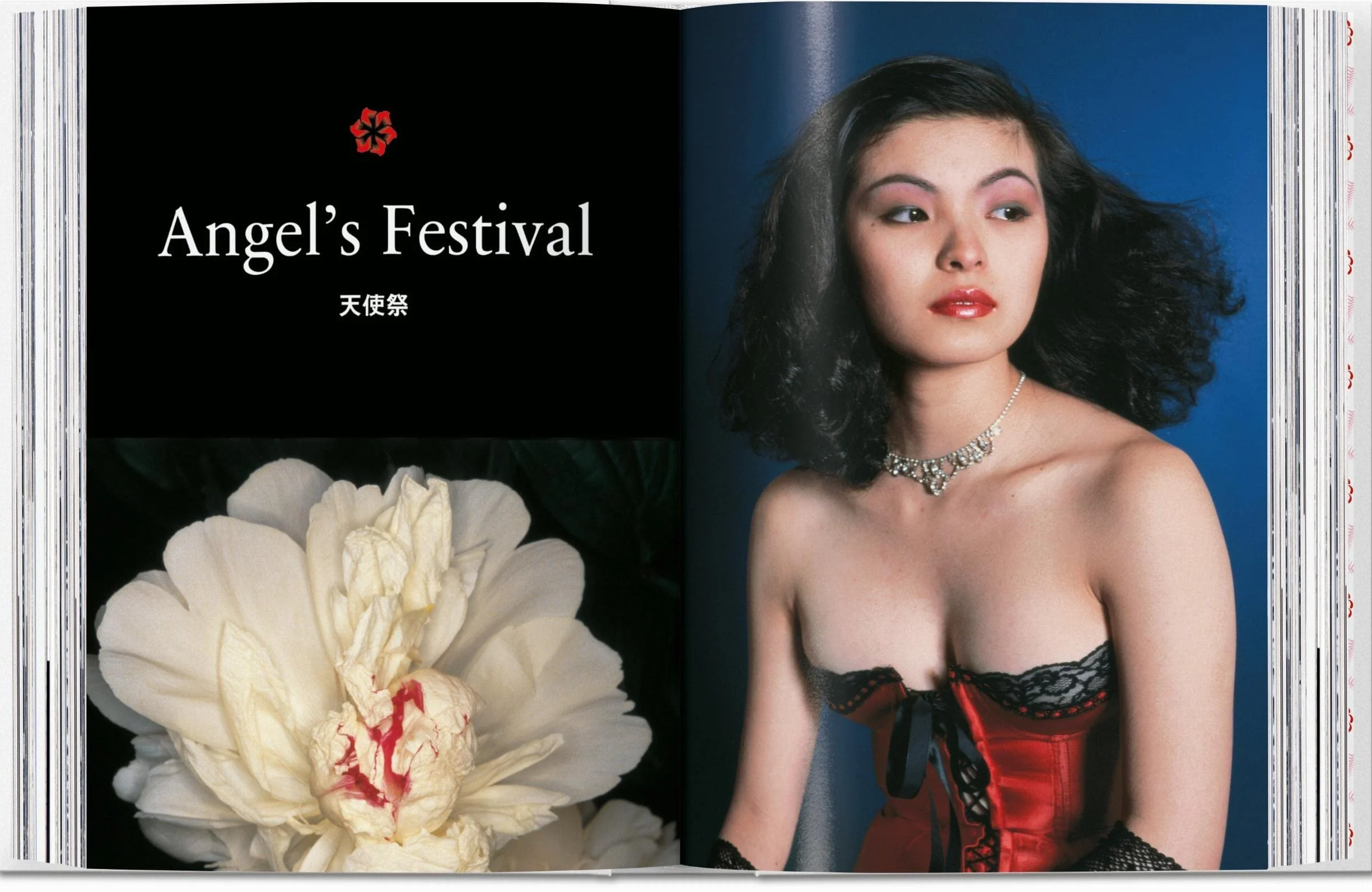 Araki – 40Th Anniversary Edition (trilingüe) (45th Edition)