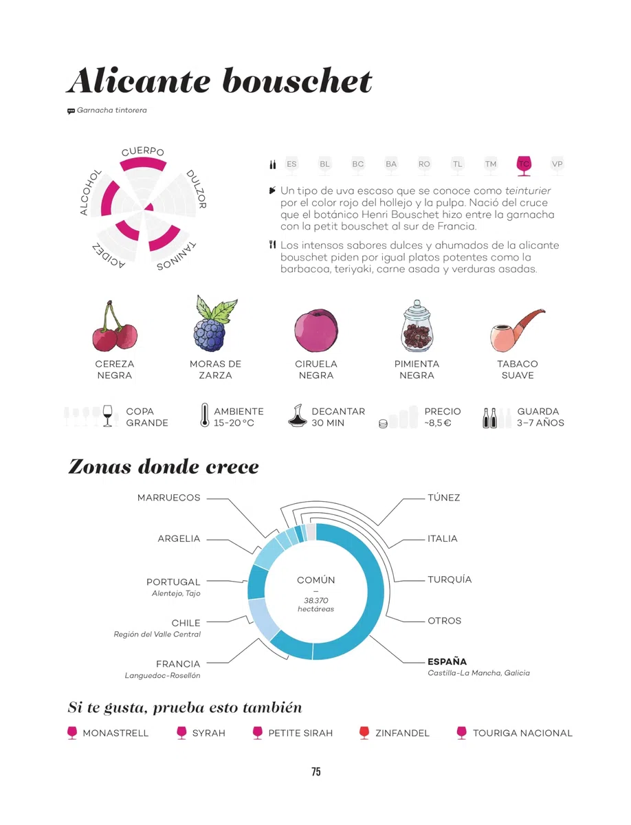 Wine Folly: Edición Magnum: La guía maestra del vino (ESP): 4 (Los ilustrados), Spanish