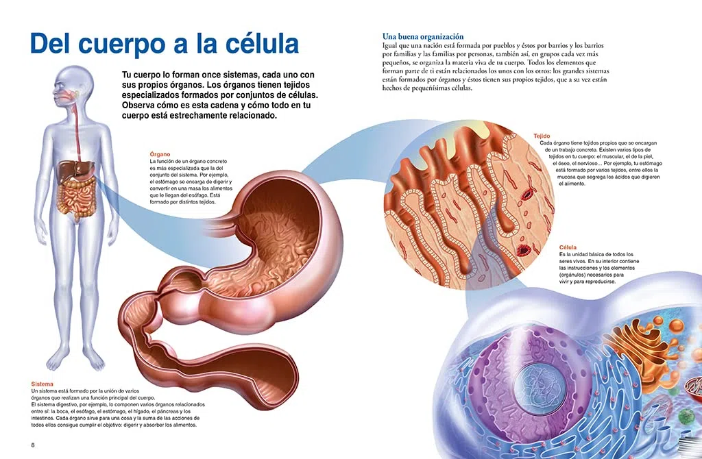 El cuerpo humano: Un apasionante recorrido por el universo de nuestro organismo (National Geographic Kids)