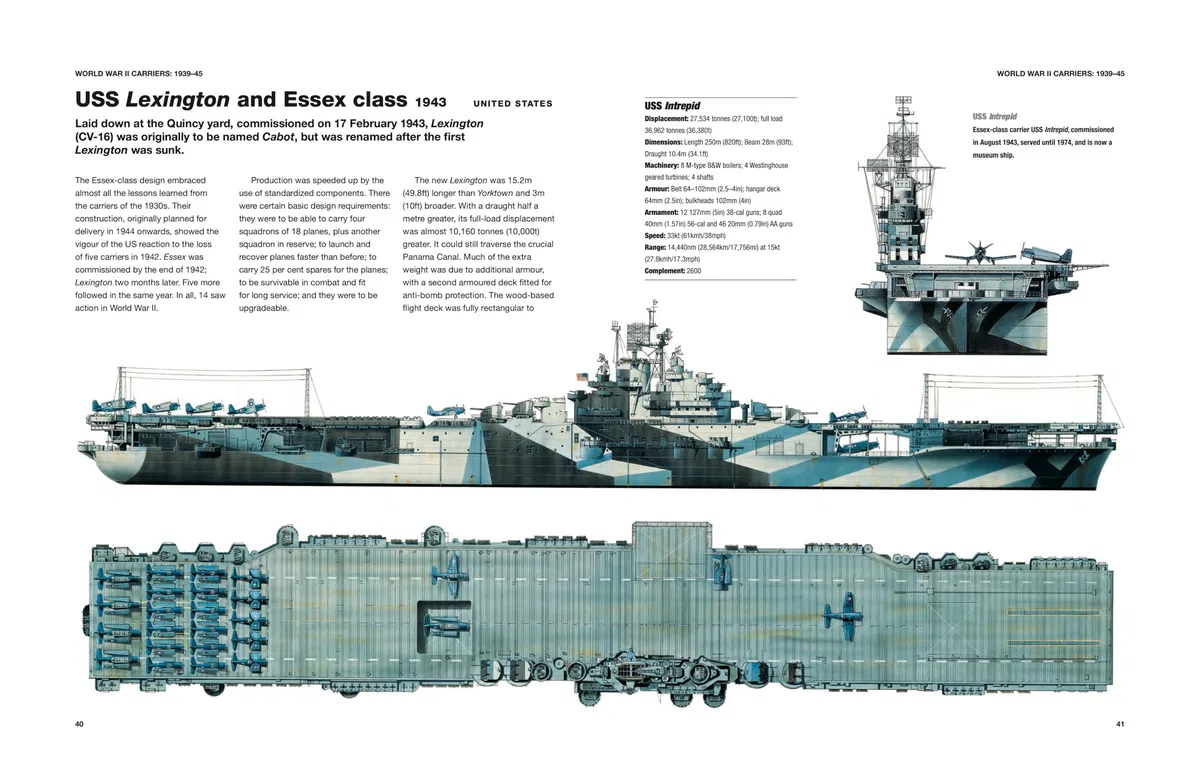 Aircraft Carriers: 1917–Present (Technical Guides)