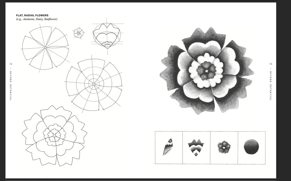 Beyond Botanical: A Guide to Drawing Plants in Nature
