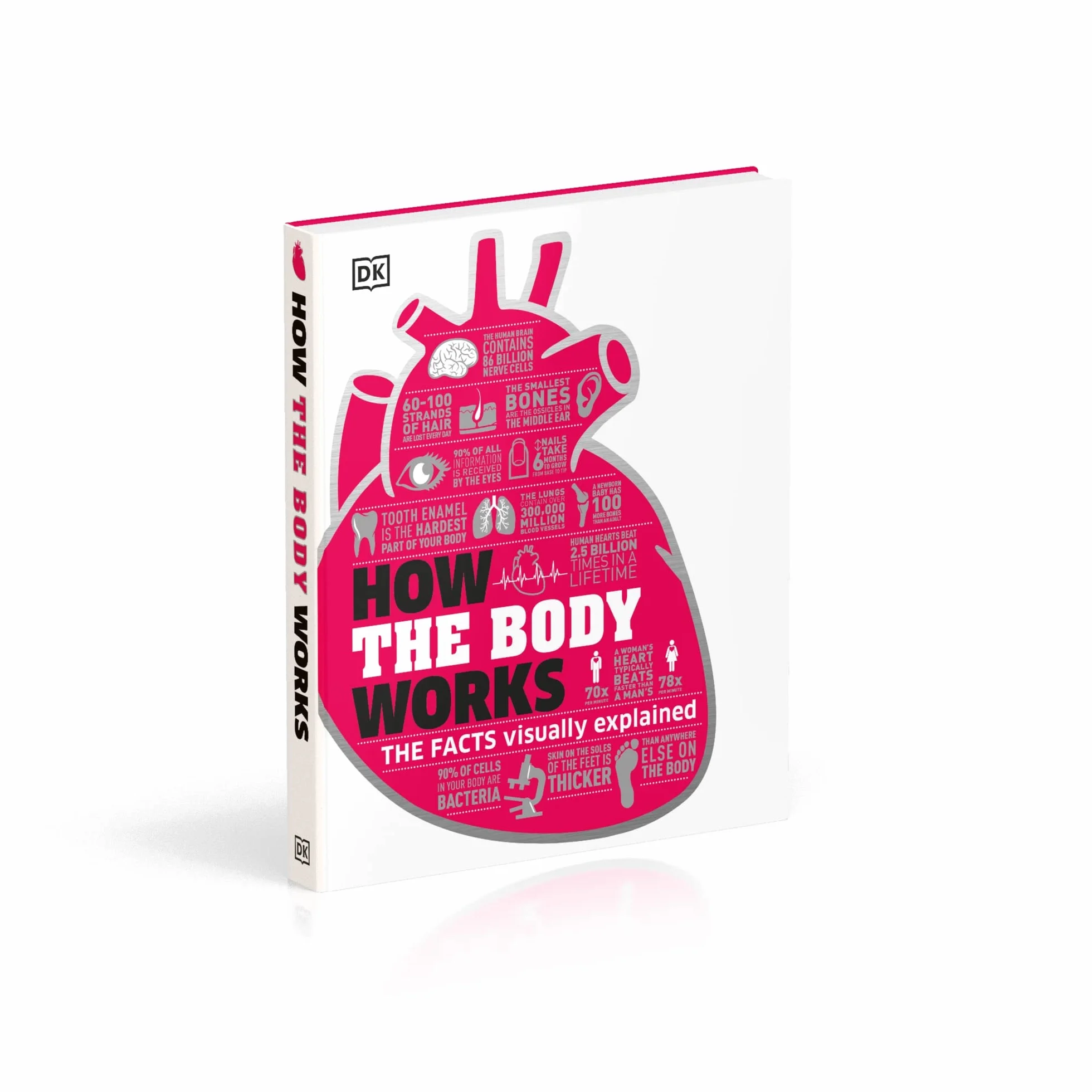 How The Body Works: The Facts Simply Explained (DK How Stuff Works)