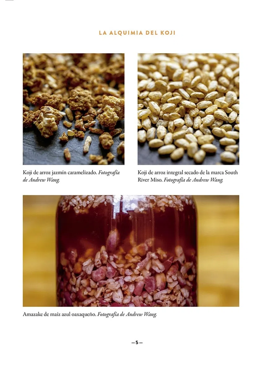 La alquimia del koji: El arte de la fermentación con moho (NeoPerson Cook)