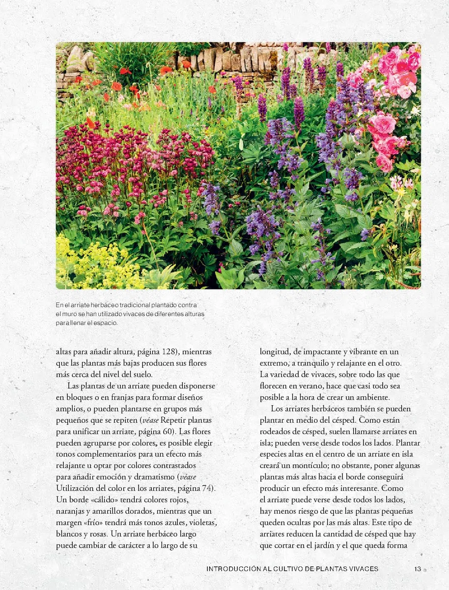 Cultivar plantas vivaces (JARDIN)