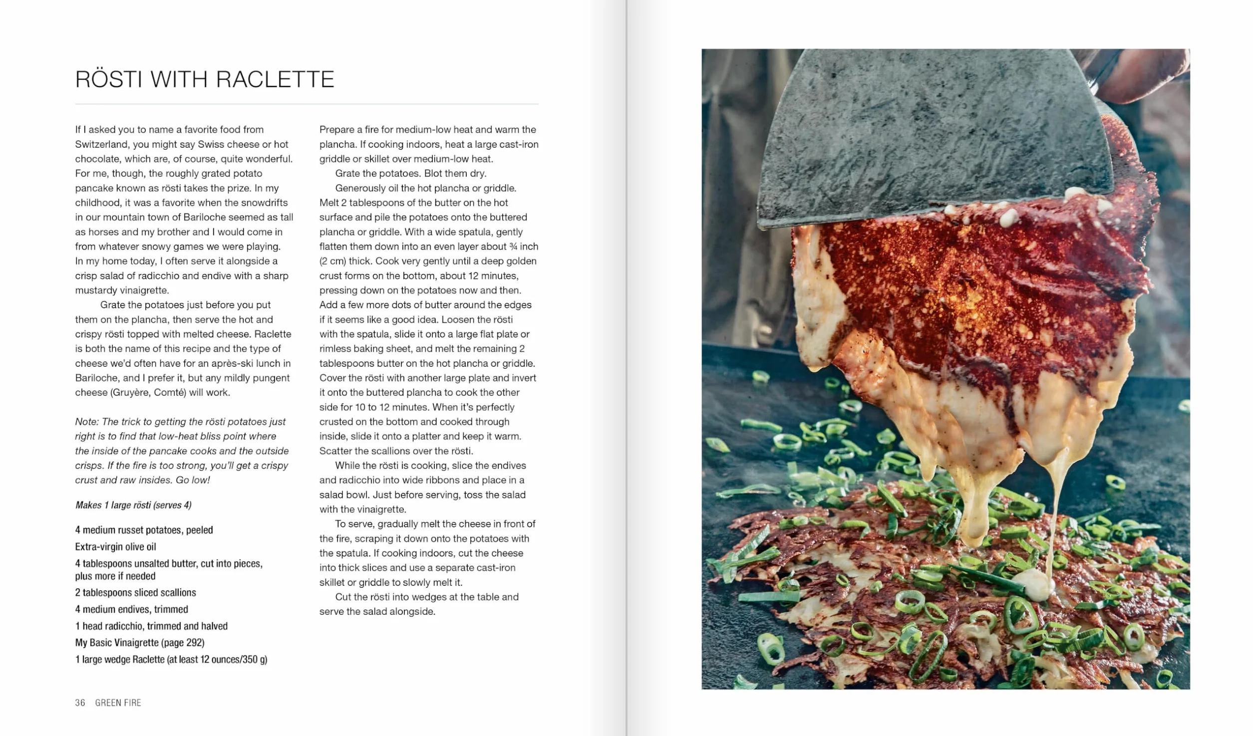 Green Fire: Extraordinary Ways to Grill Fruits and Vegetable