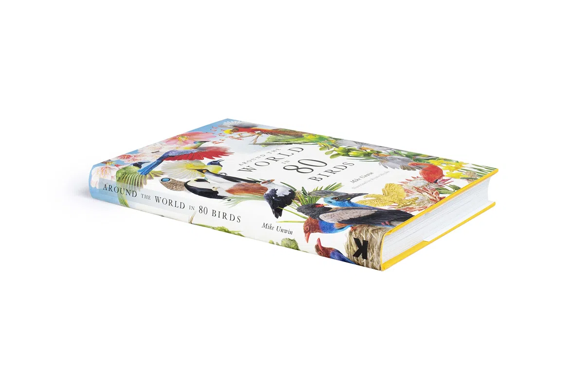 Around the World in 80 Birds (Hardback) /anglais