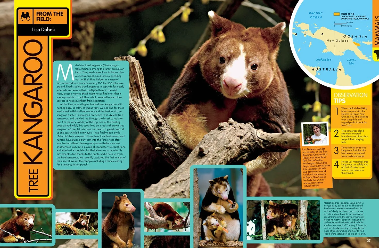 National Geographic Kids Animal Encyclopedia 2nd edition: 2,500 Animals with Photos, Maps, and More!