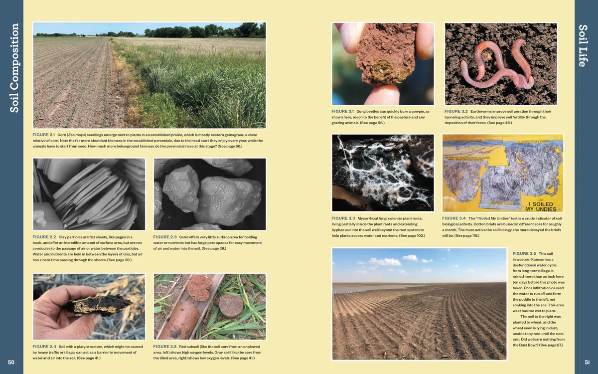The Complete Guide to Restoring Your Soil: Improve Water Retention and Infiltration; Support Microorganisms and Other Soil Life; Capture More ... Cover Crops, and Carbon-Based Soil Amendments