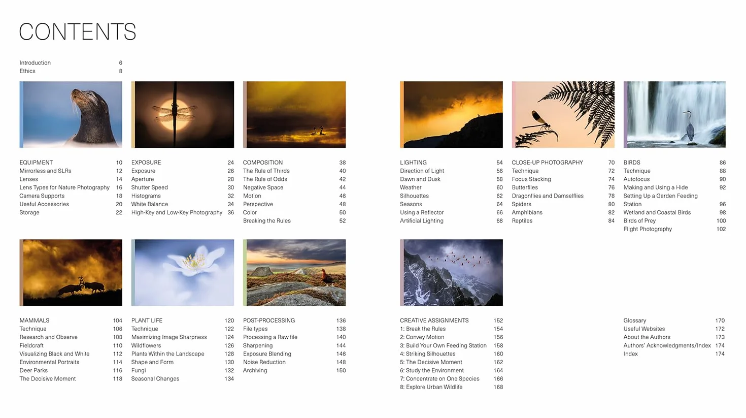 Wildlife Photography Workshop, The
