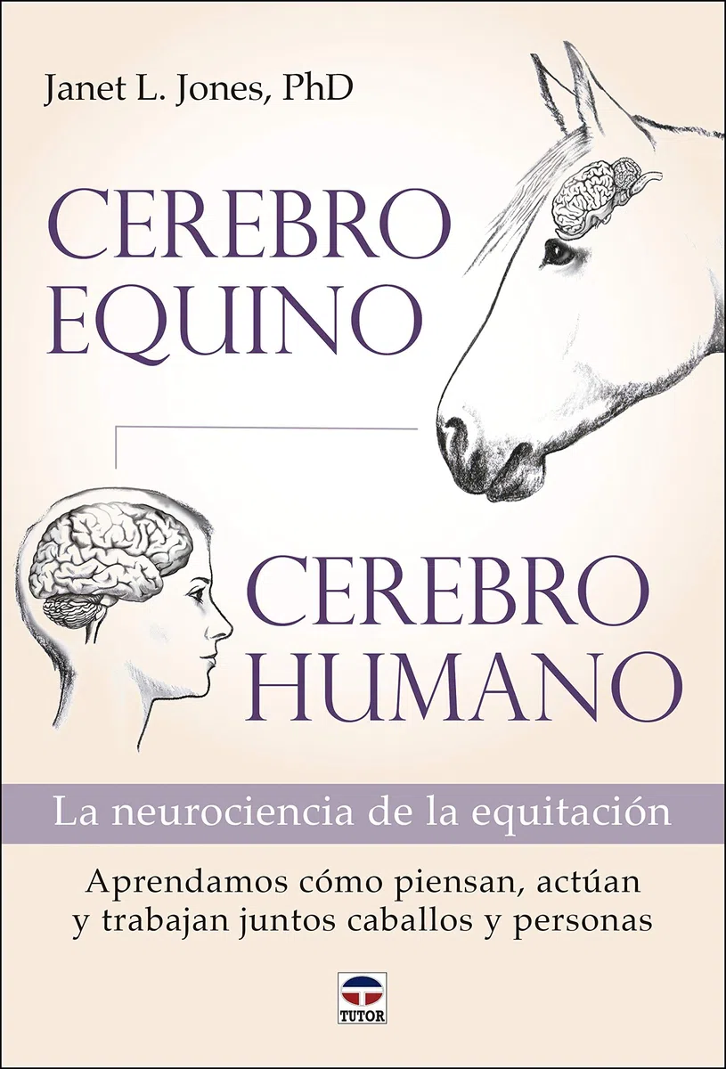 Cerebro equino, cerebro humano: La neurociencia de la equitación (SIN COLECCION)