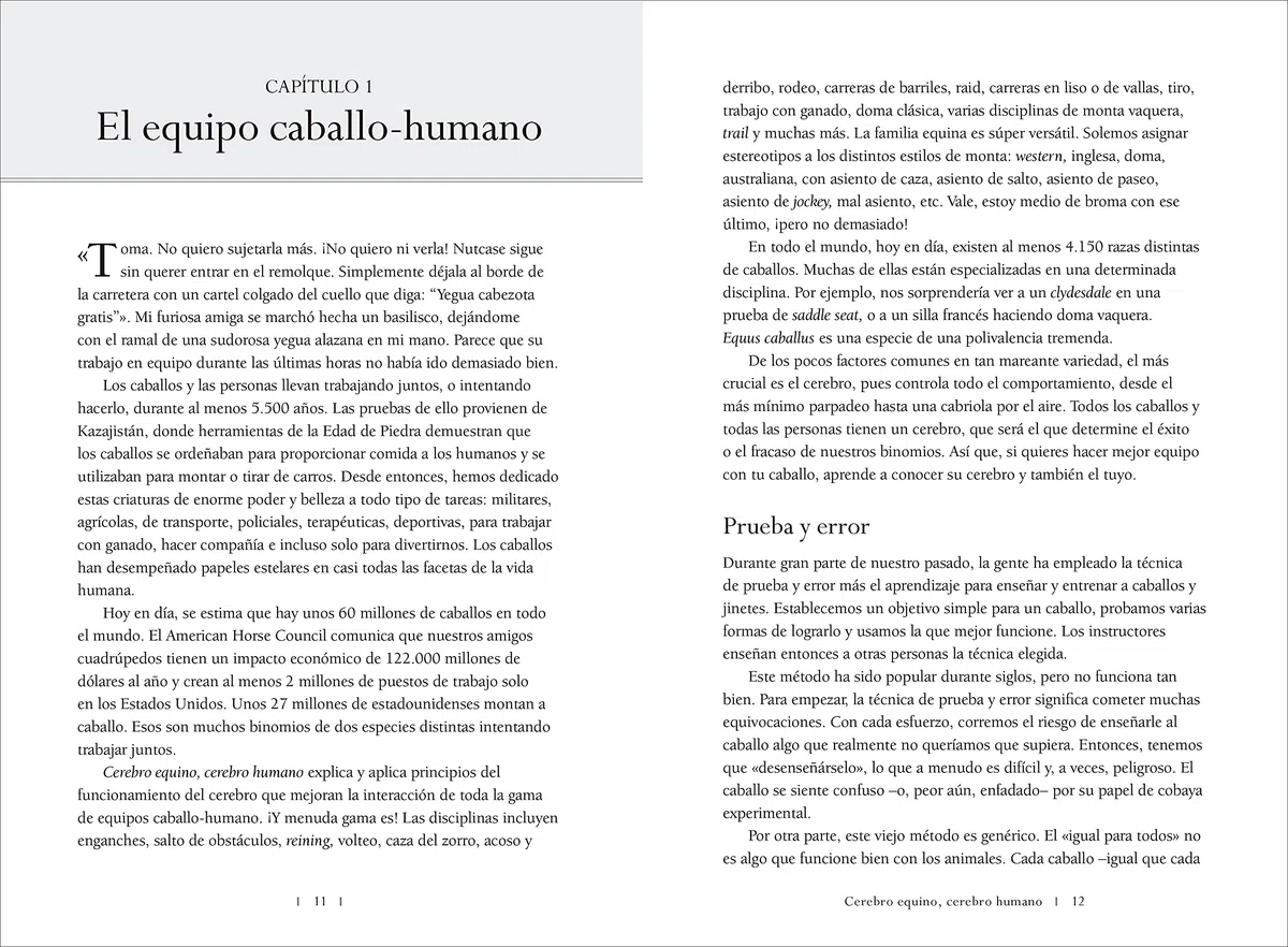 Cerebro equino, cerebro humano: La neurociencia de la equitación (SIN COLECCION)