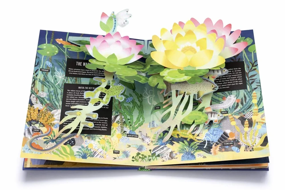 Pop-up Earth: 1 (Pop-Up series)