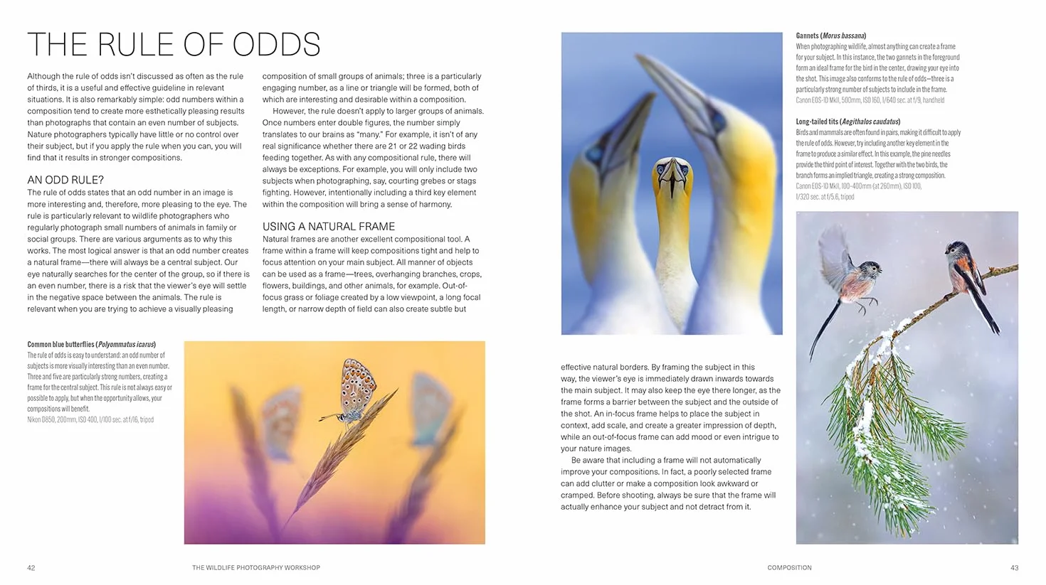 Wildlife Photography Workshop, The