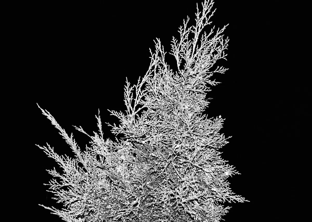 Moments of Meaning-Making: On Anachronism, Becoming and Conceptualizing