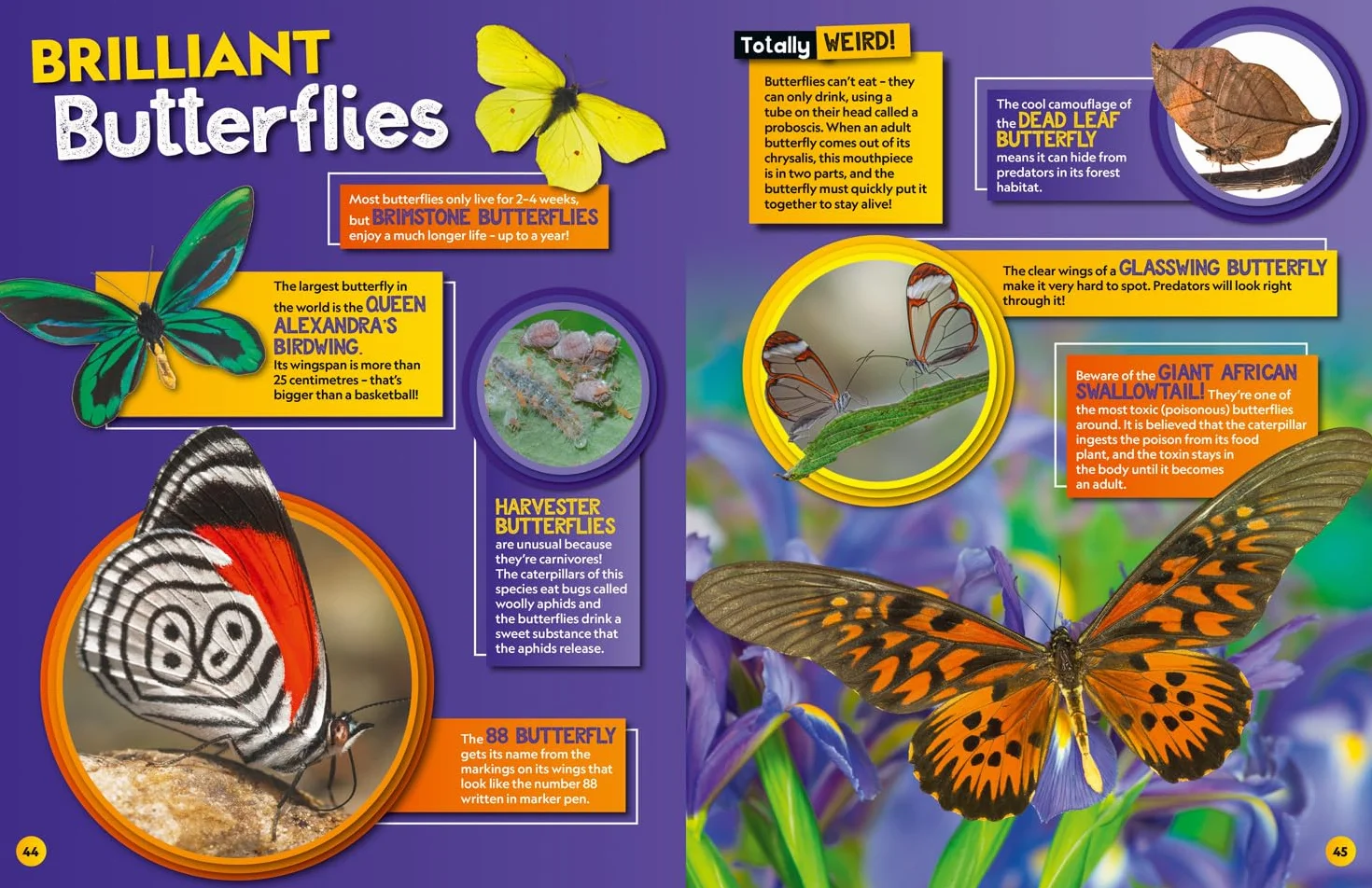 Weird but true! 2026: wild and wacky facts & photos! (National Geographic Kids)