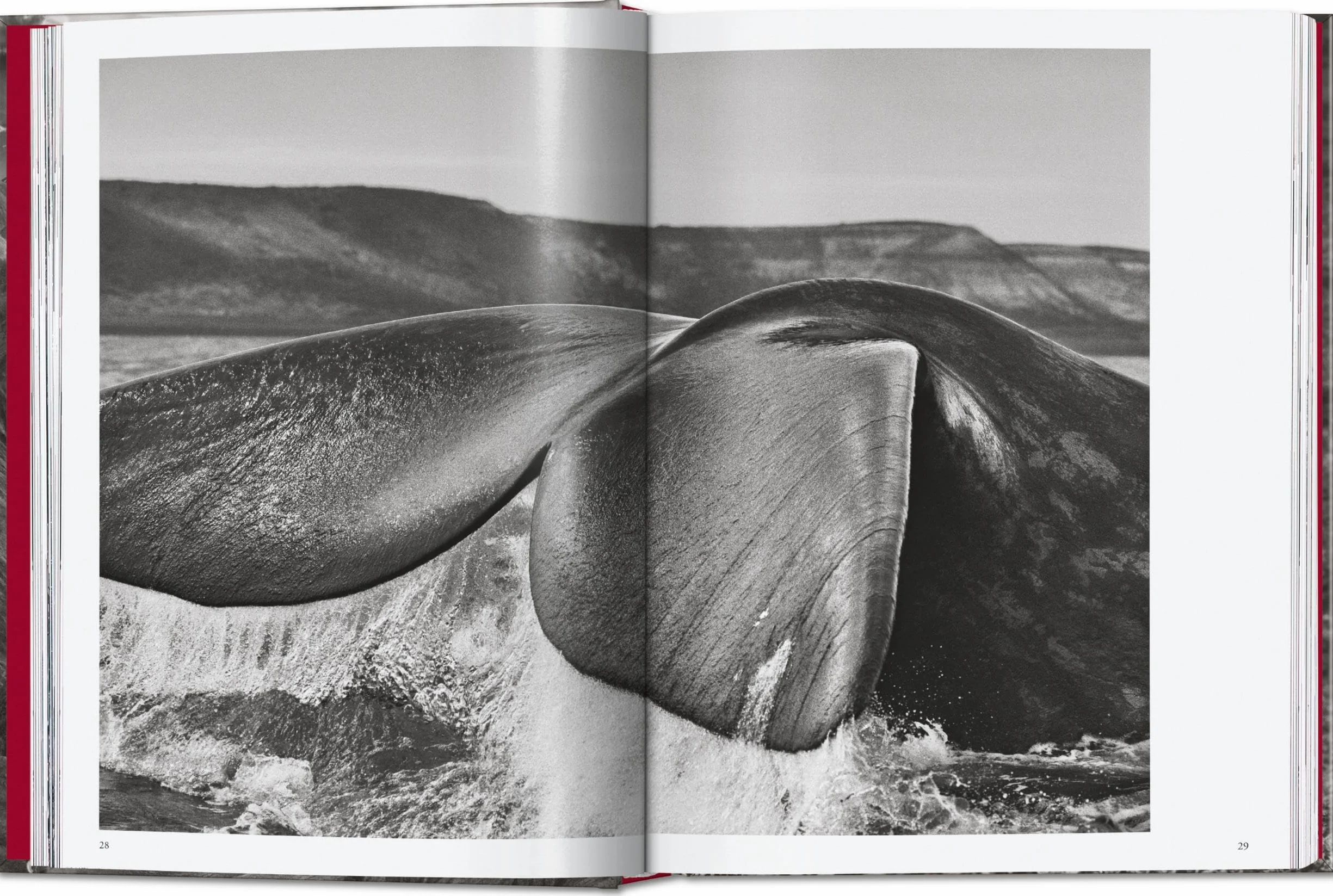 Sebastião Salgado: Genesis. 45th Ed. (45th Edition)