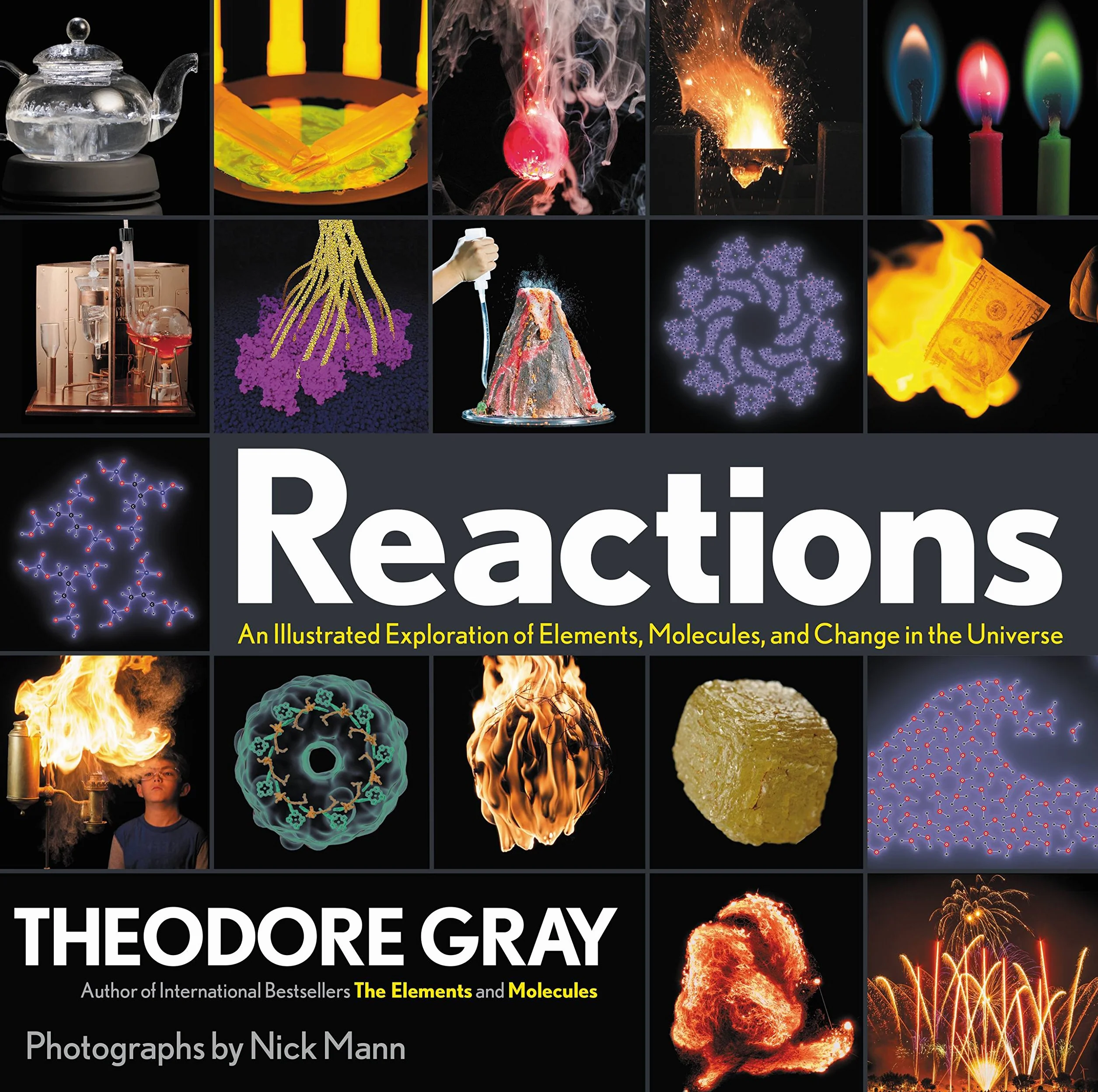Reactions: An Illustrated Exploration of Elements, Molecules, and Change in the Universe