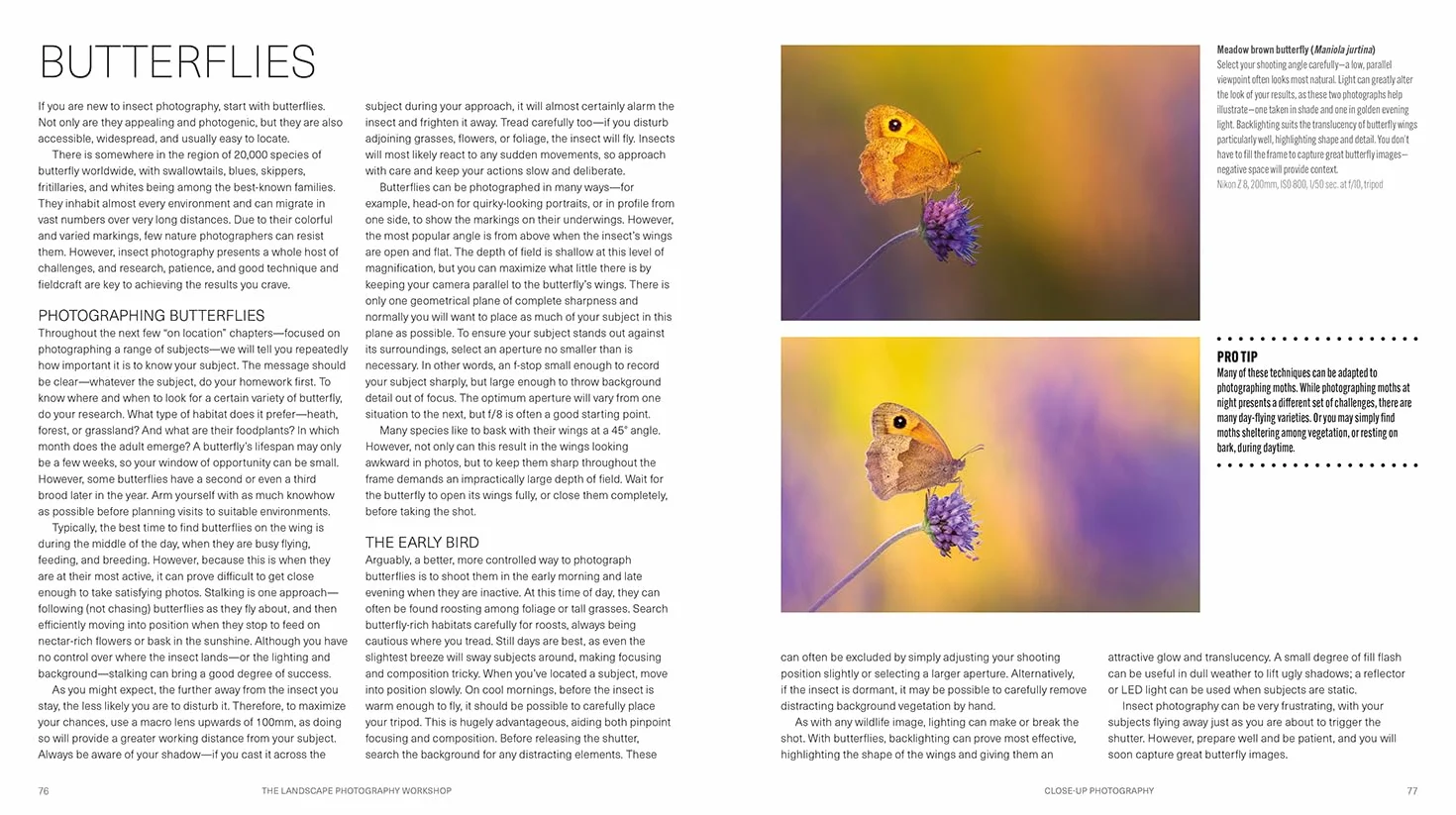 Wildlife Photography Workshop, The