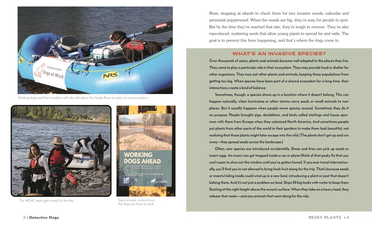 Detective Dogs: How Working Dogs Sniff Out Invasive Species (Books for a Better Earth)