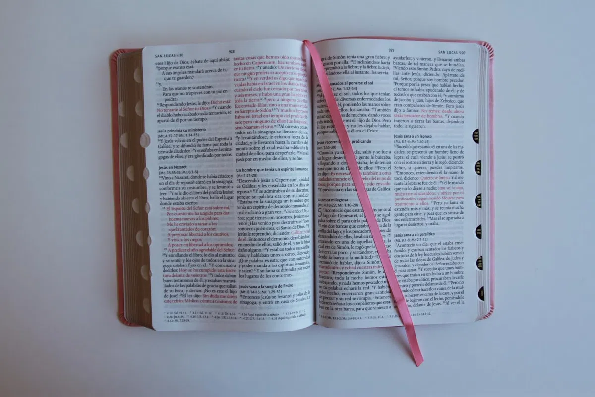 Biblia RVR 1960 letra grande tamaño manual, Piel rosada con índice / Spanish Bible RVR 1960 Handy Size Large Print Leathersoft pink with index: ... 1960 Leathersoft (ORIGEN EVANGÉLICO)