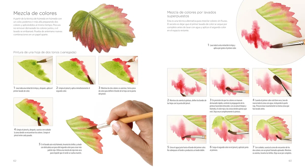 PINTURA BOTÁNICA: Aprende a pintar flores y plantas con acuarela